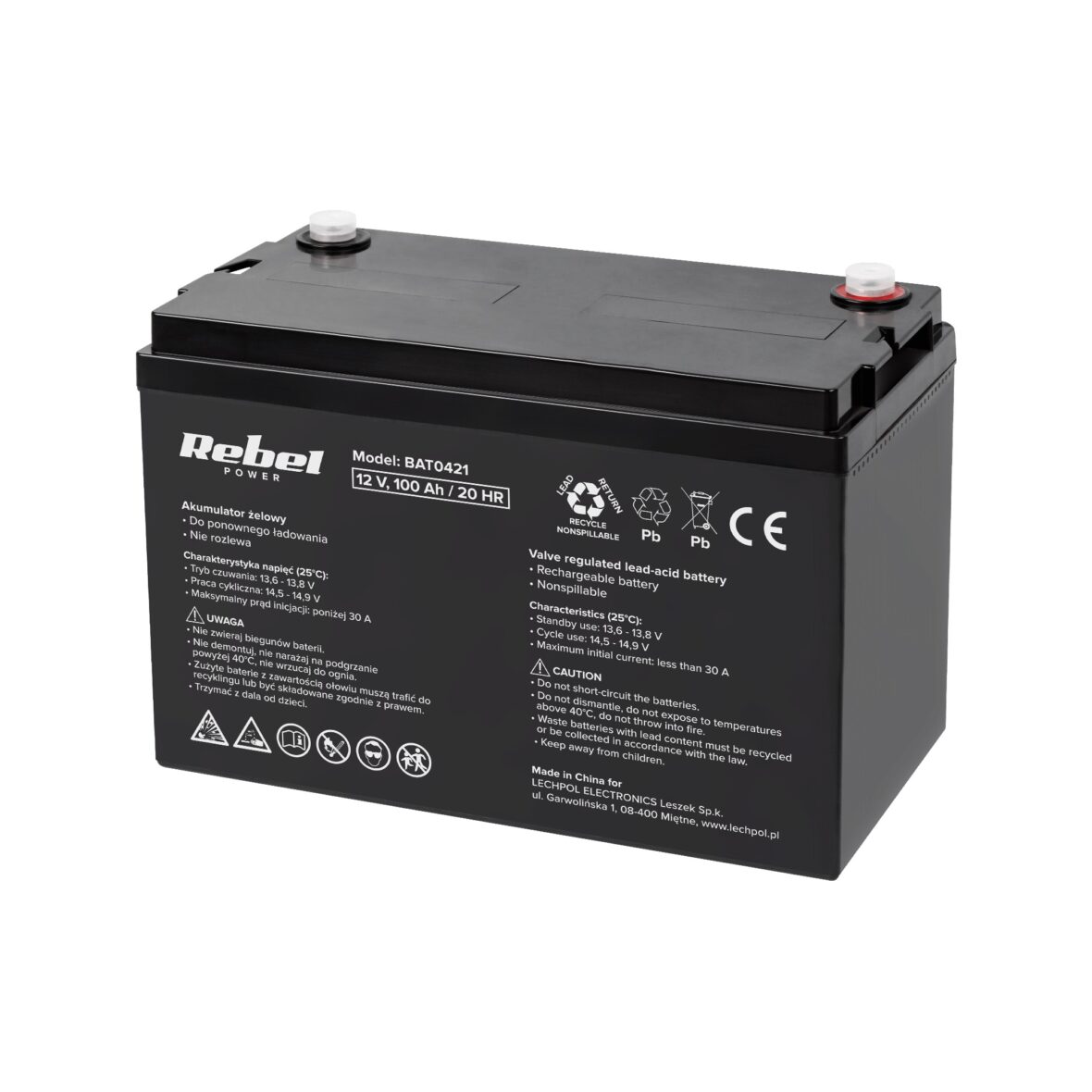 Акумулятор гелевий Rebel 12V 100Ah (BAT0421) - Фото 1